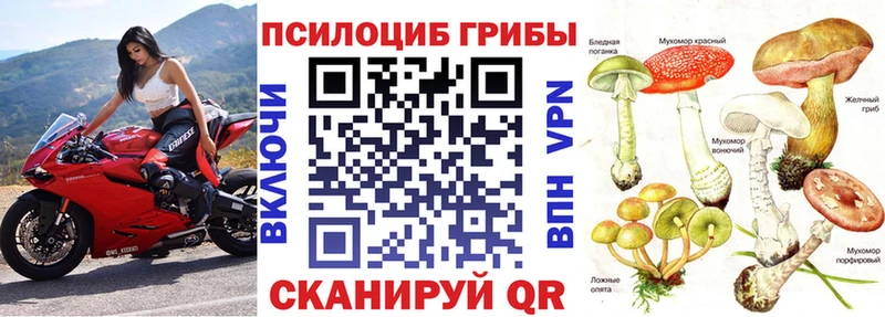 Галлюциногенные грибы прущие грибы  Новозыбков 